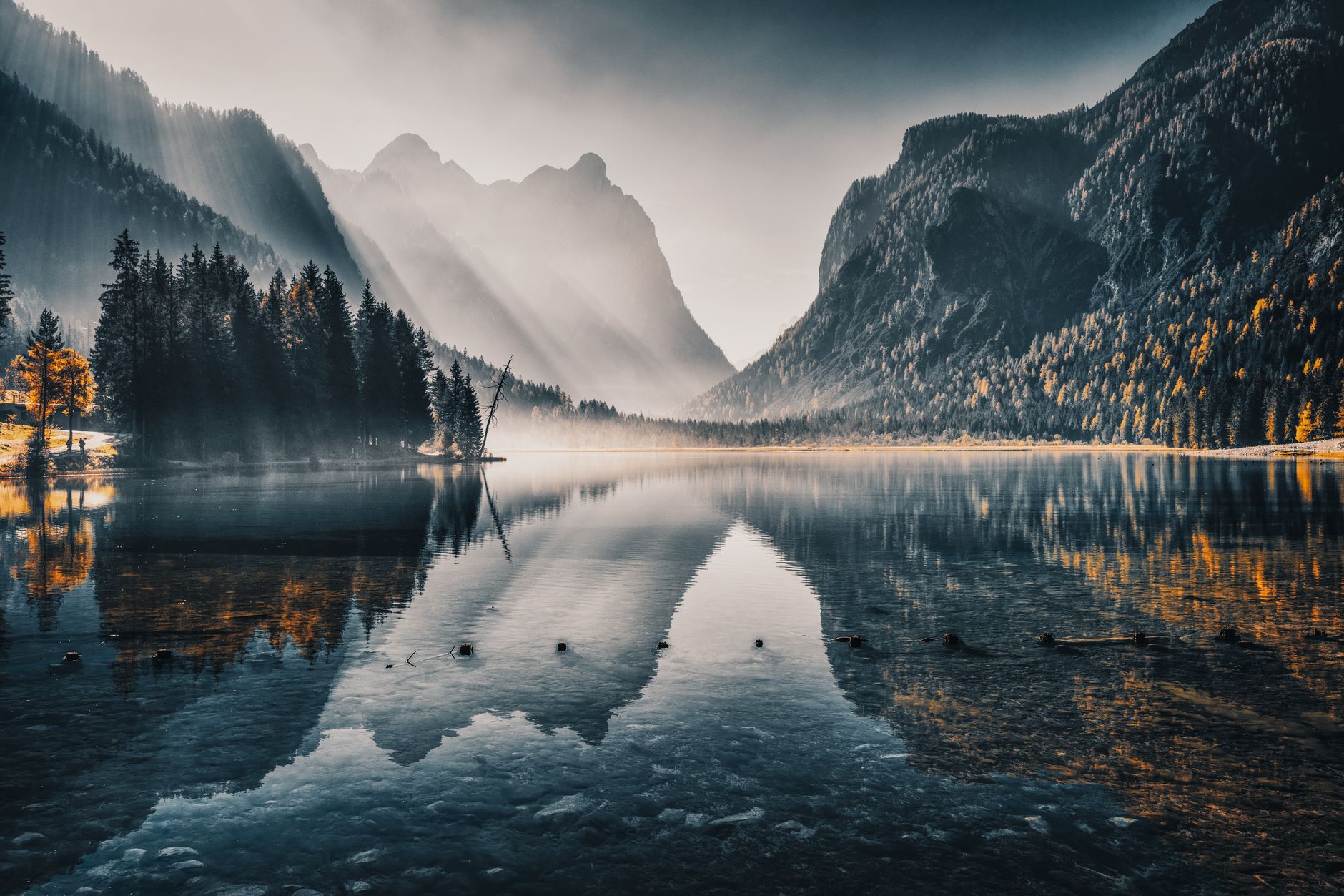 Naturaleza Viva